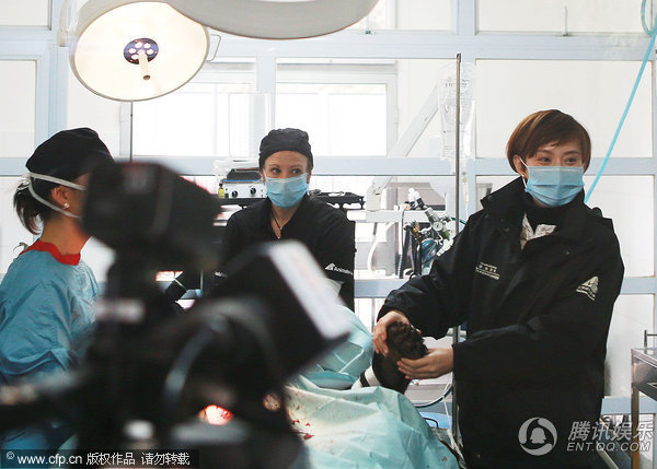 组图:孙俪探访黑熊救护站 为动物取名“萱萱”